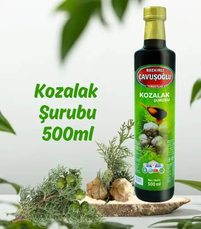 Çavuşoğlu Kozalak Şurubu Servi Kozalağı Şurubu 500ml x 12